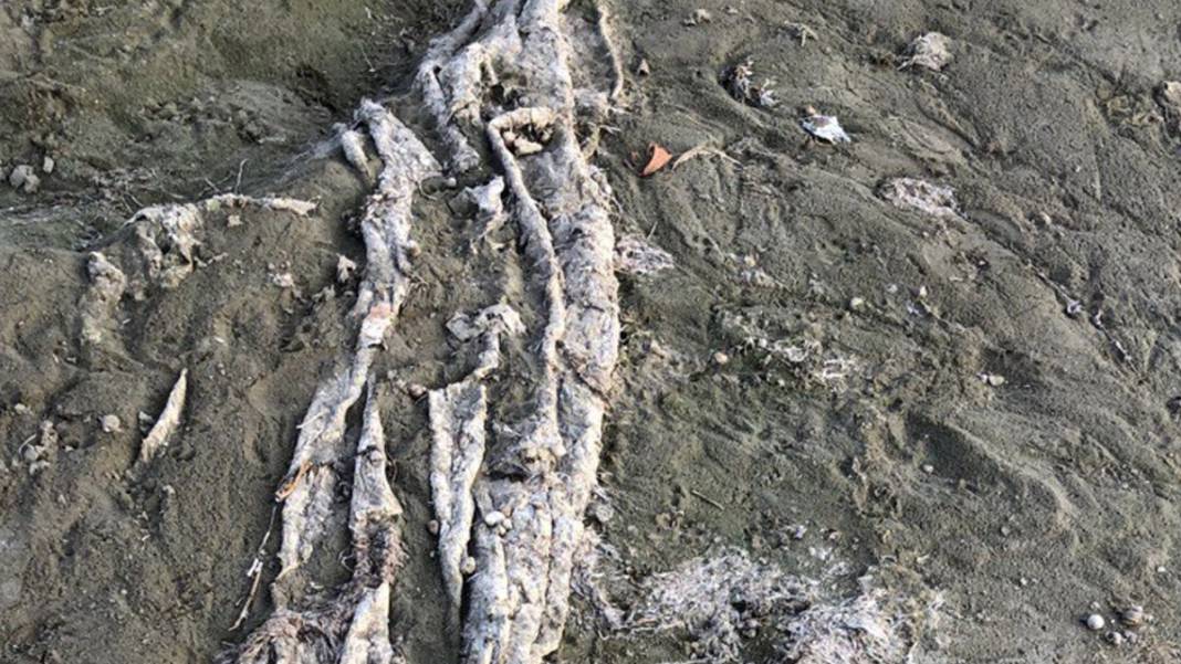 Eğirdir Gölü alarm veriyor: Derinlik 4 metrenin altına indi 6